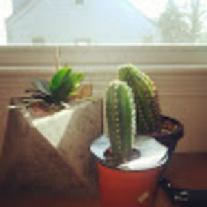 Meet your Posher, Rob